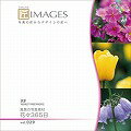 匠IMAGES Vol.029 四季の写真素材 花々