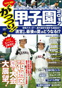 がっつり!甲子園2017 (にちぶんMOOK)