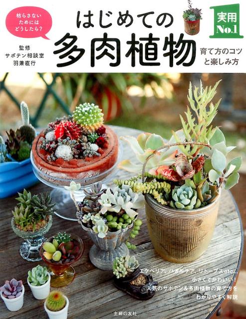 はじめての多肉植物 [ 羽兼直行 ]...:book:17570868