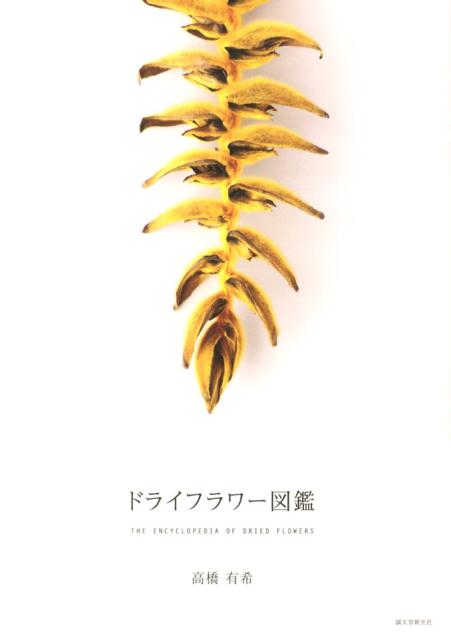 ドライフラワー図鑑 [ 高橋有希 ]...:book:16649909