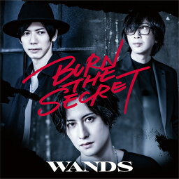 BURN THE SECRET (初回限定盤 CD＋DVD) [ <strong>WANDS</strong> ]