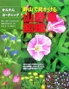 野山で見かける山野草図鑑【送料無料】