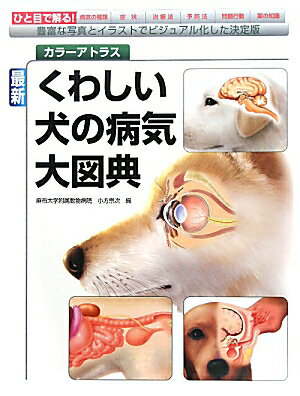 ̕aĈ߂͂I