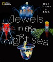  ̃vNg Jewels@in@the@night@sea [  ]