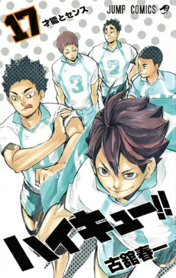 ハイキュー！！ 17