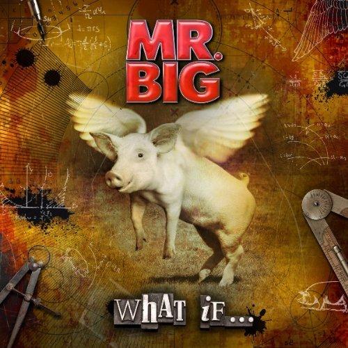 ホワット・イフ…（初回限定CD+DVD） [ MR.BIG ]【送料無料】