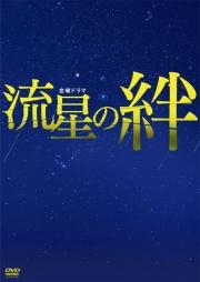 流星の絆 DVD-BOX [ 二宮和也 ]