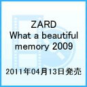 ZARD What a beautiful memory 2009