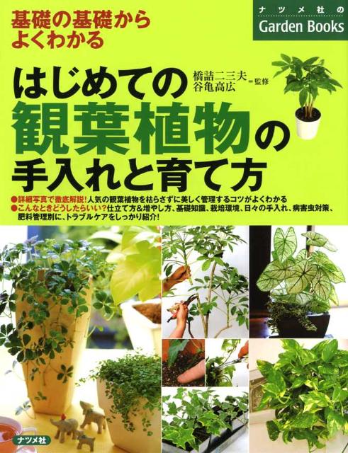 はじめての観葉植物の手入れと育て方 [ 橋詰二三夫 ]...:book:12811249