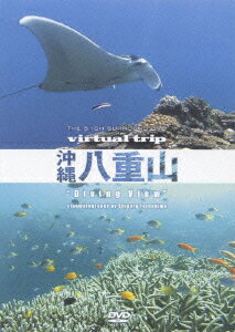 virtual trip 沖縄八重山 Diving View [ (BGV) ]...:book:12025979