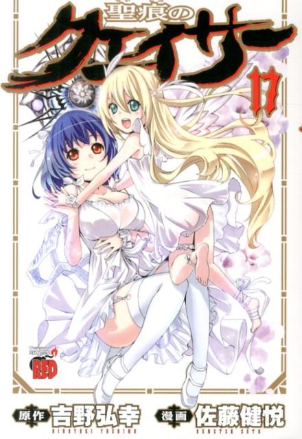 聖痕のクェイサー 17