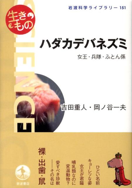 n_JfolY~ EEӂƂW igȊwCu[j [ gcdl ]