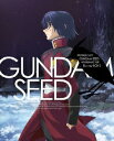 機動戦士ガンダムSEED HDリマスター Blu-ray BOX 2 [ 保志総一朗 ]