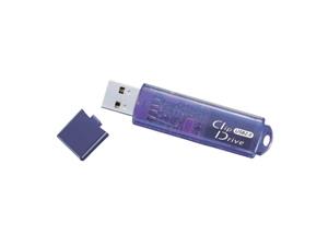 USBメモリ スタンダードタイプ ブルー 2GB RUF-C2GS-BL／U2