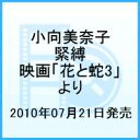 【送料無料】小向美奈子 緊縛 -映画「花と蛇3」より-
