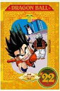 DRAGON BALL 22