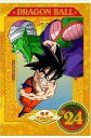 DRAGON BALL 24