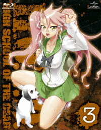 学園黙示録 HIGHSCHOOL OF THE DEAD 3 【Blu-ray】 [ <strong>諏訪部順一</strong> ]