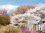 今森光彦が見つめるニッポンの里山カレンダー(2018) 1,512円