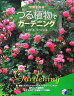 空間を彩るつる植物でガーデニング