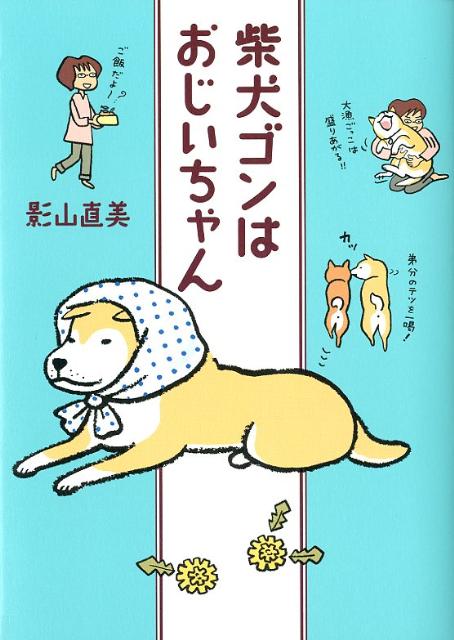 柴犬ゴンはおじいちゃん