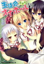 生徒会は僕専用オナホール!? (二次元ドリーム文庫) [ 夜...
