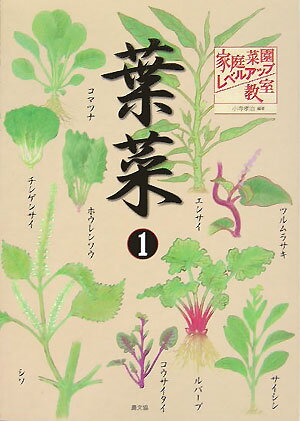 葉菜（1）
