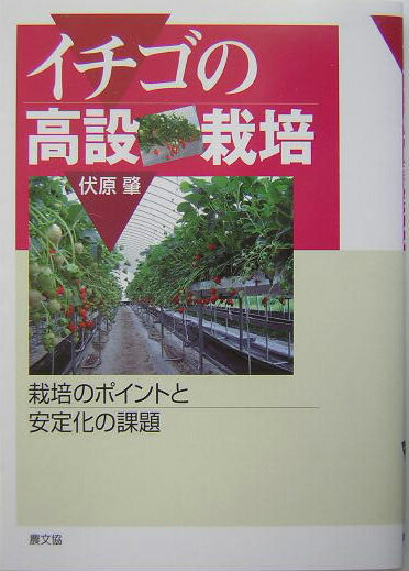イチゴの高設栽培