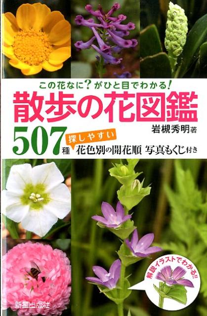 散歩の花図鑑 [ 岩槻秀明 ]...:book:15722173