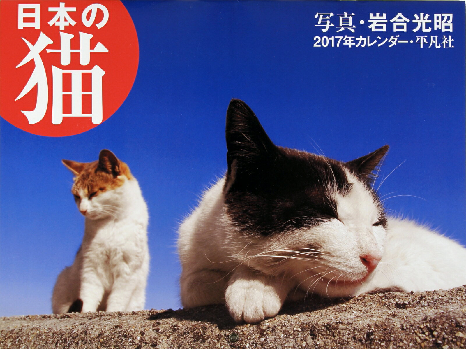 【壁掛】2017年カレンダー　日本の猫 [ 岩合　光昭 ]...:book:18149864