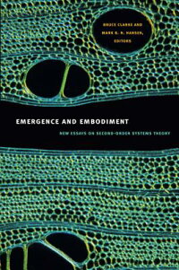essay on mall culture in cities essay on mall culture in cities