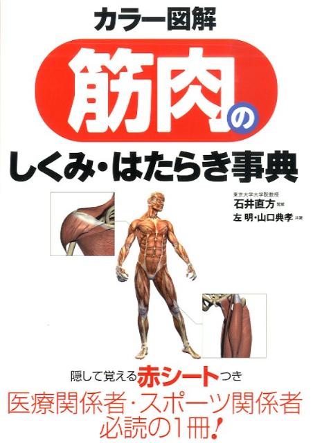 カラー図解筋肉のしくみ・はたらき事典【送料無料】