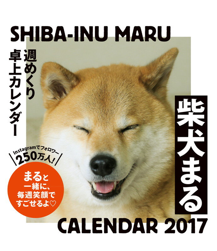 2017年　柴犬まる週めくり卓上カレンダー [ 小野　慎二郎 ]...:book:18058608