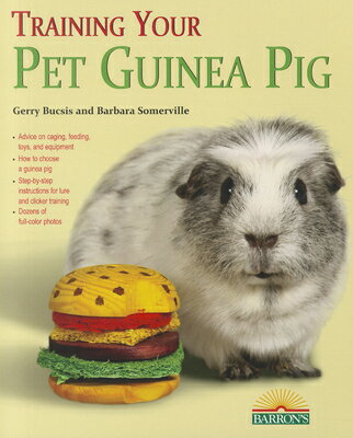 Training Your Pet Guinea Pig【送料無料】