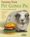 Training Your Pet Guinea Pig