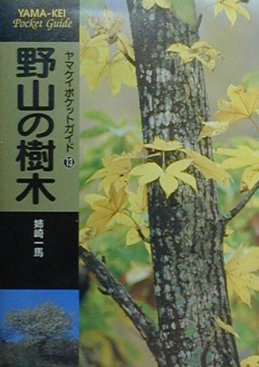 野山の樹木【送料無料】