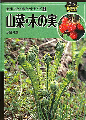 山菜・木の実【送料無料】