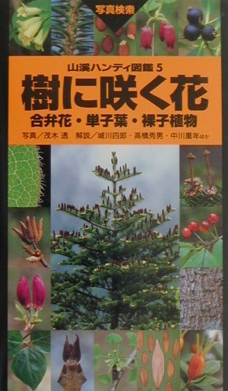 樹に咲く花（合弁花・単子葉・裸子植物）改訂第3版