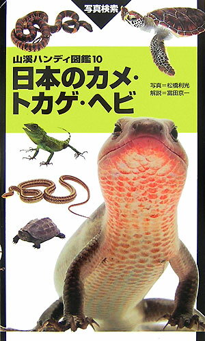 日本のカメ・トカゲ・ヘビ