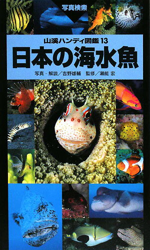 日本の海水魚【送料無料】