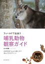 フィールドで出会う哺乳動物観察ガイド 生態写真でわかる探し方や見わけ方のポイント