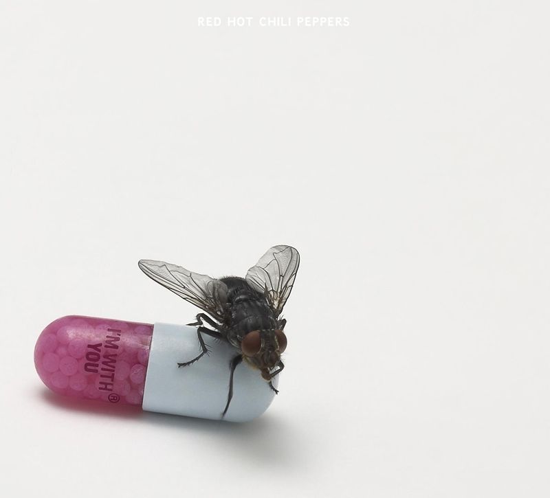 【輸入盤】 RED HOT CHILI PEPPERS / I'M WITH YOU [ レッド・ホット・チリ・ペッパーズ ]