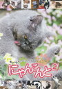 にゃんこんと2 キャット驚くオモシロねこ動画 〜ホントはこんなこと言ってたりして〜