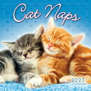 Cat Naps 2023 Mini CAT NAPS 2023 MINI [ Inc Sellers Publishing ]