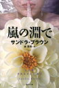 嵐の淵で （集英社文庫） [ サンドラ・ブラウン ]