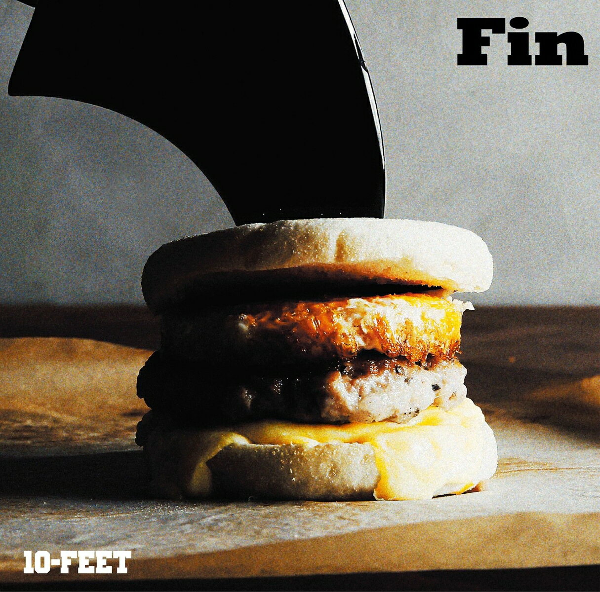 Fin [ 10-FEET ]