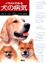 イラストでみる犬の病気 [ 小野憲一郎 ]...:book:10578170