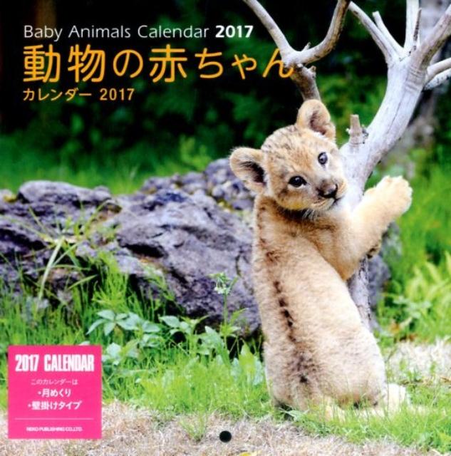 動物の赤ちゃんカレンダー（2017）...:book:18205399