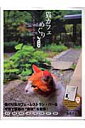 猫カフェ 画像