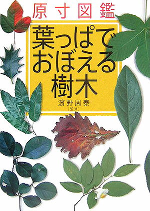 原寸図鑑葉っぱでおぼえる樹木